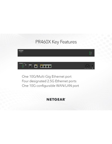 Netgear PR460X-111EUS - Router...
