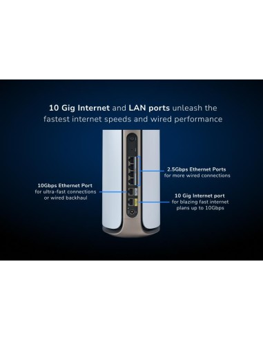 Netgear RBE973S-100EUS - Sistema de...