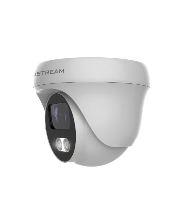 Grandstream GSC3610 - Dome Camera FHD Infrared Weatherproof